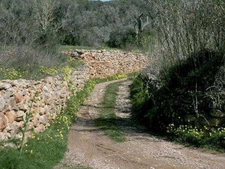 Byggegrund til salg i Sant Llorenc de Balafia - € 2.121.000 (Ref: 9041485)