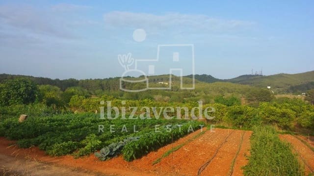 Building Plot for sale in Sant Llorenç de Balafia, Sant Joan de Labritja - € 2,121,000 (Ref: 9041485)