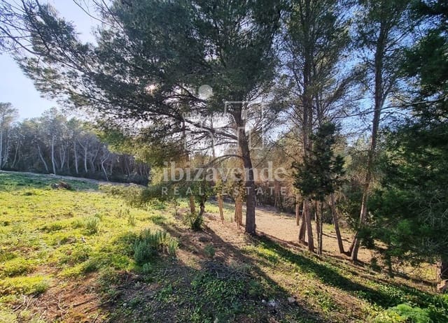 Tomt till salu i Santa Gertrudis de Fruitera, Santa Eulalia / Santa Eularia - 1 443 000 € (Ref: 9041487)