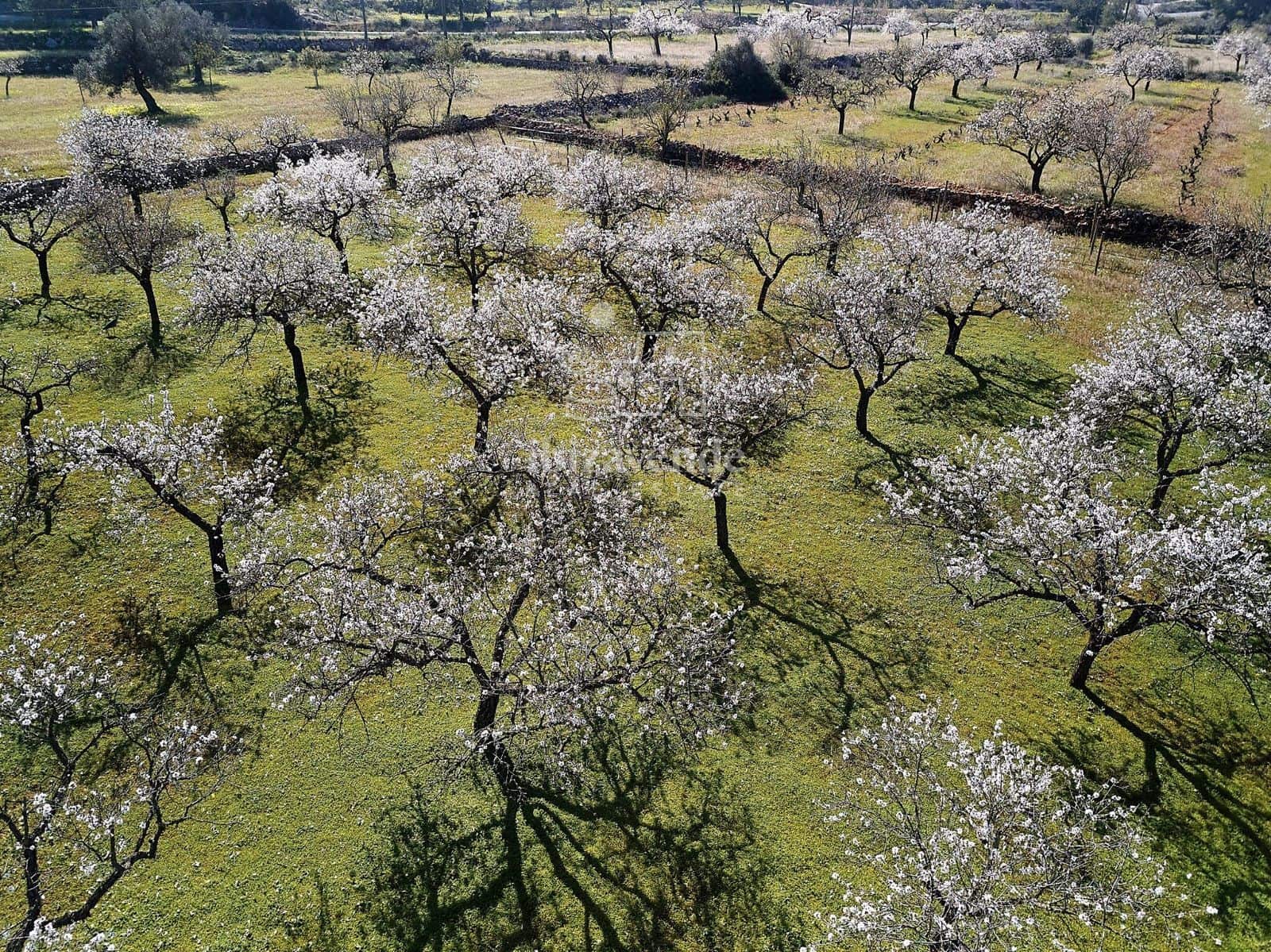 Działka budowlana na sprzedaż w Sant Rafael de Sa Creu - 1 650 000 € (Ref: 9041489)