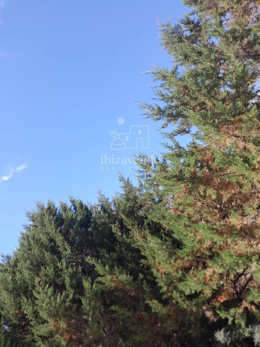 10 bedroom Villa for sale in San Jose / Sant Josep de Sa Talaia with pool garage - € 7,500,000 (Ref: 9041527)