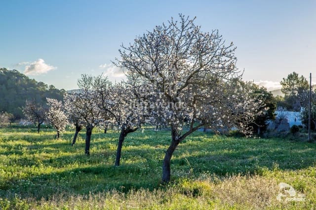 7 soverom Villa til salgs i Santa Eulalia / Santa Eularia med svømmebasseng garasje - € 4 900 000 (Ref: 9041531)