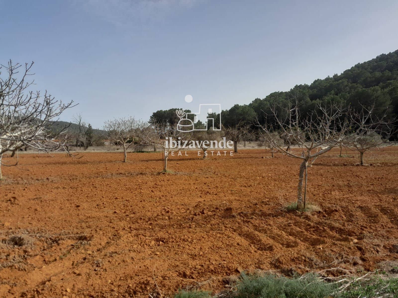 4 soverom Villa til salgs i Sant Mateu d'Albarca med garasje - € 2 100 000 (Ref: 9041540)