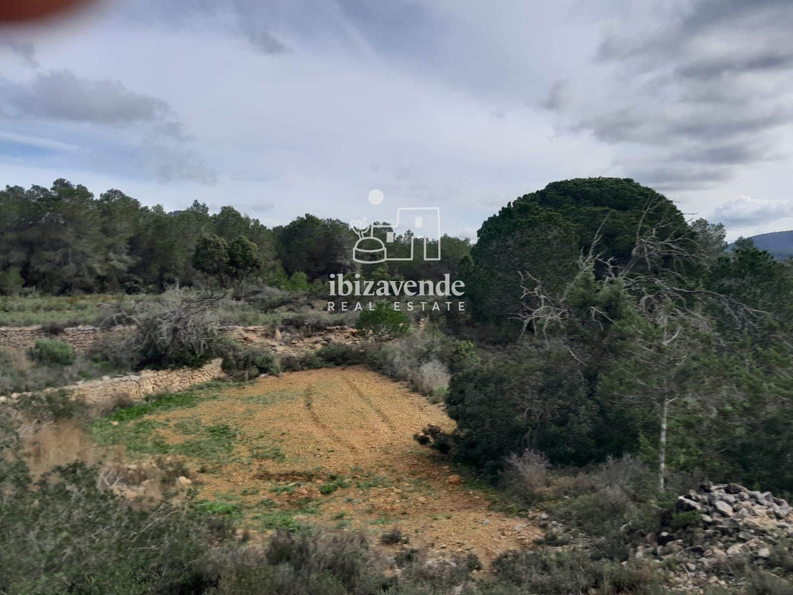 4 bedroom Villa for sale in Santa Ines / Santa Agnes de Corona - € 3,200,000 (Ref: 9041542)