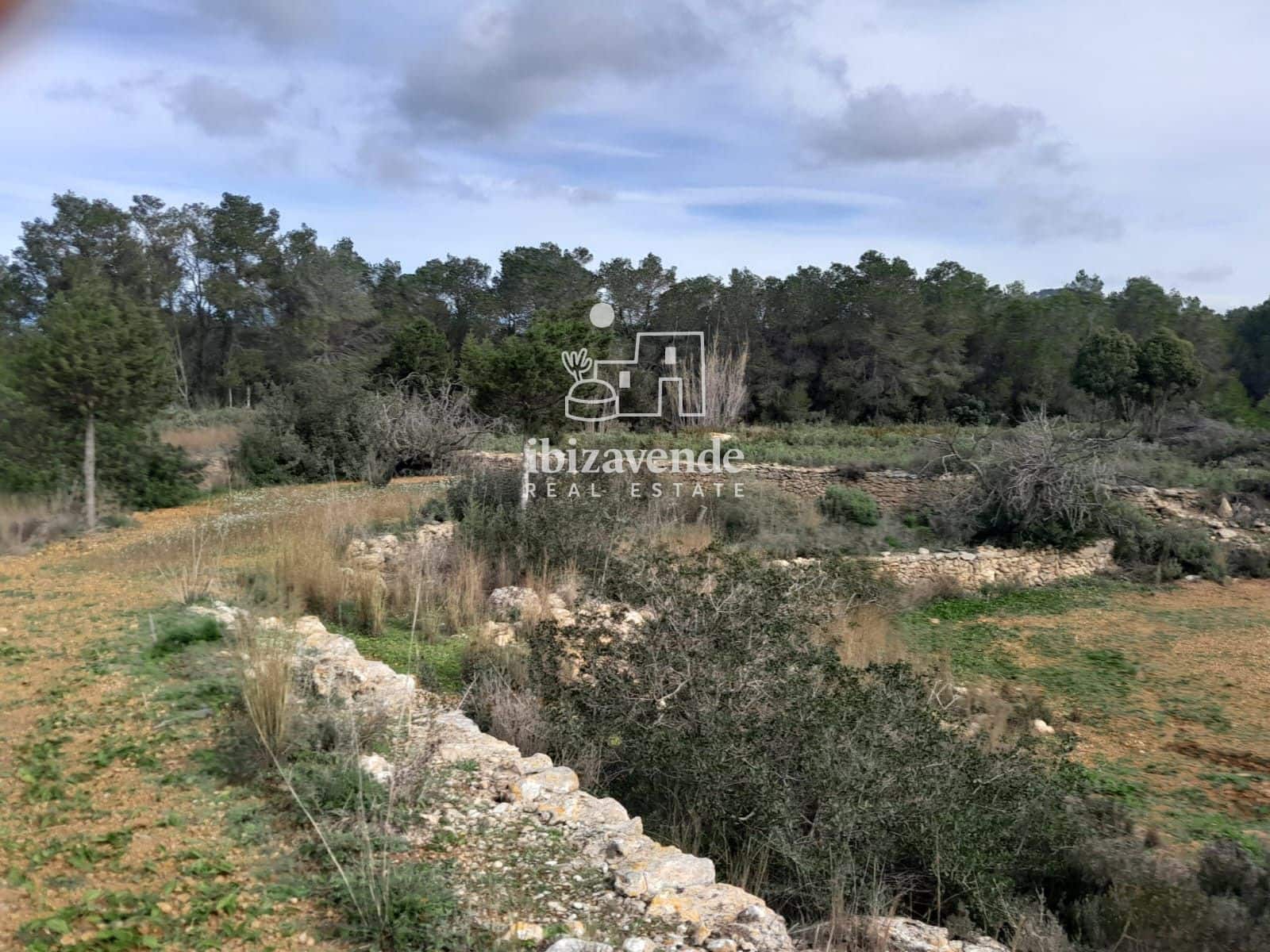 4 bedroom Villa for sale in Santa Ines / Santa Agnes de Corona - € 3,200,000 (Ref: 9041542)