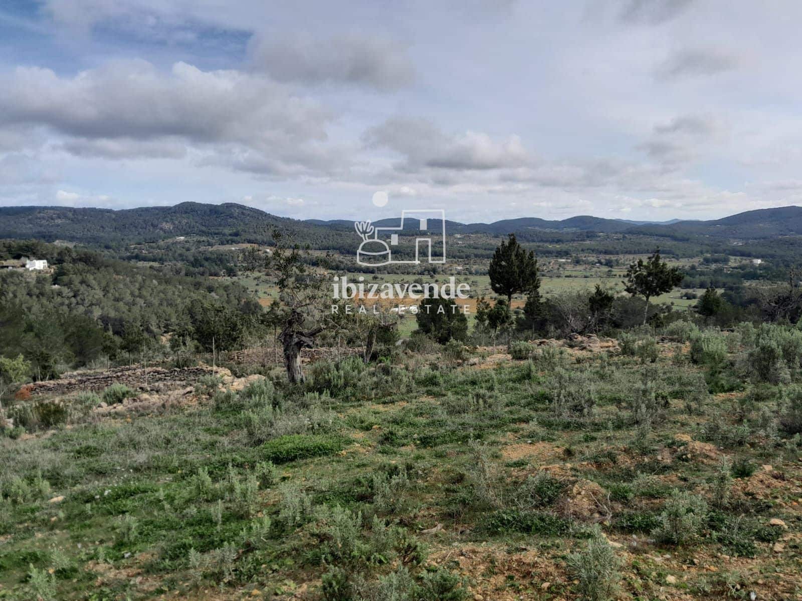4 bedroom Villa for sale in Santa Ines / Santa Agnes de Corona - € 3,200,000 (Ref: 9041542)