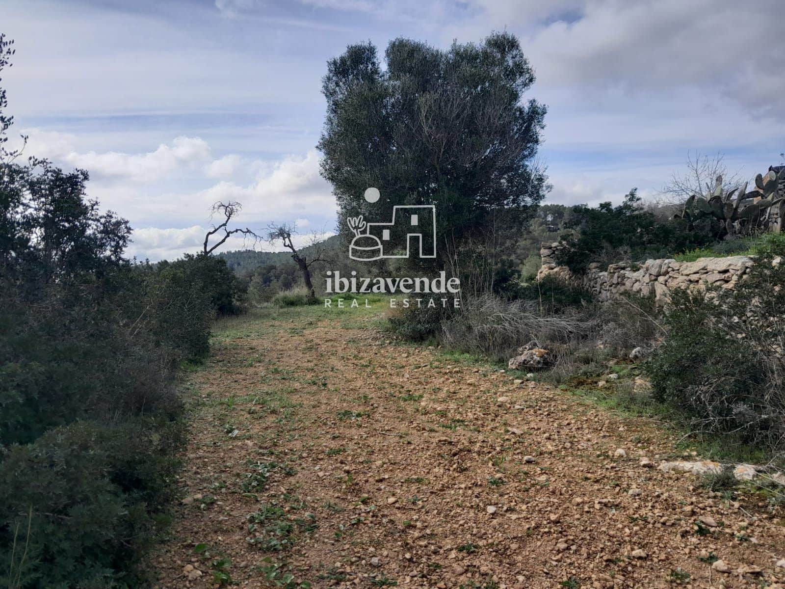 4 bedroom Villa for sale in Santa Ines / Santa Agnes de Corona - € 3,200,000 (Ref: 9041542)