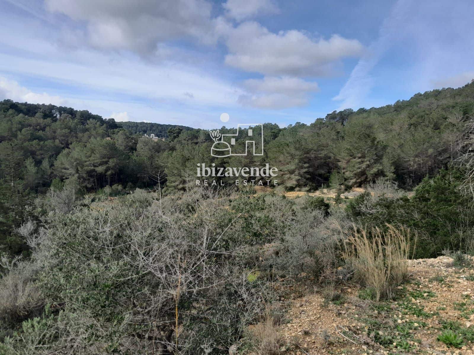 4 bedroom Villa for sale in Santa Ines / Santa Agnes de Corona - € 3,200,000 (Ref: 9041542)