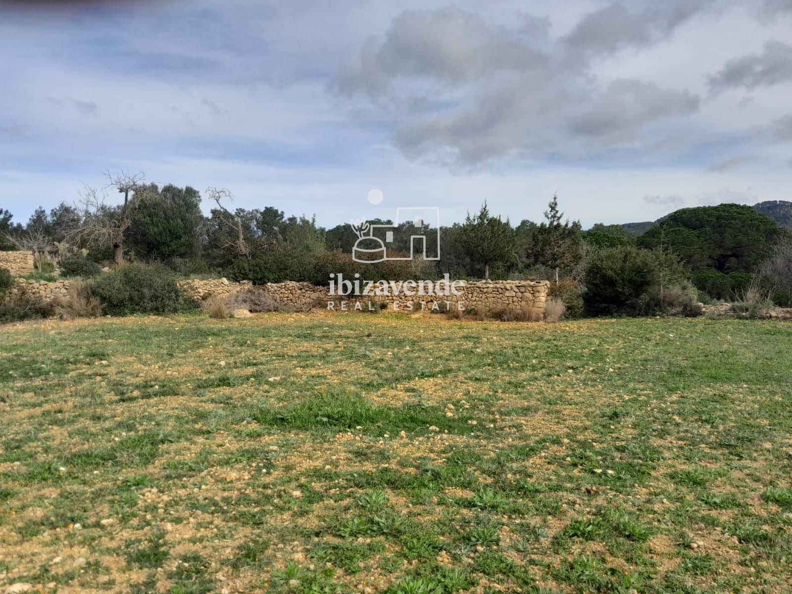 4 bedroom Villa for sale in Santa Ines / Santa Agnes de Corona - € 3,200,000 (Ref: 9041542)