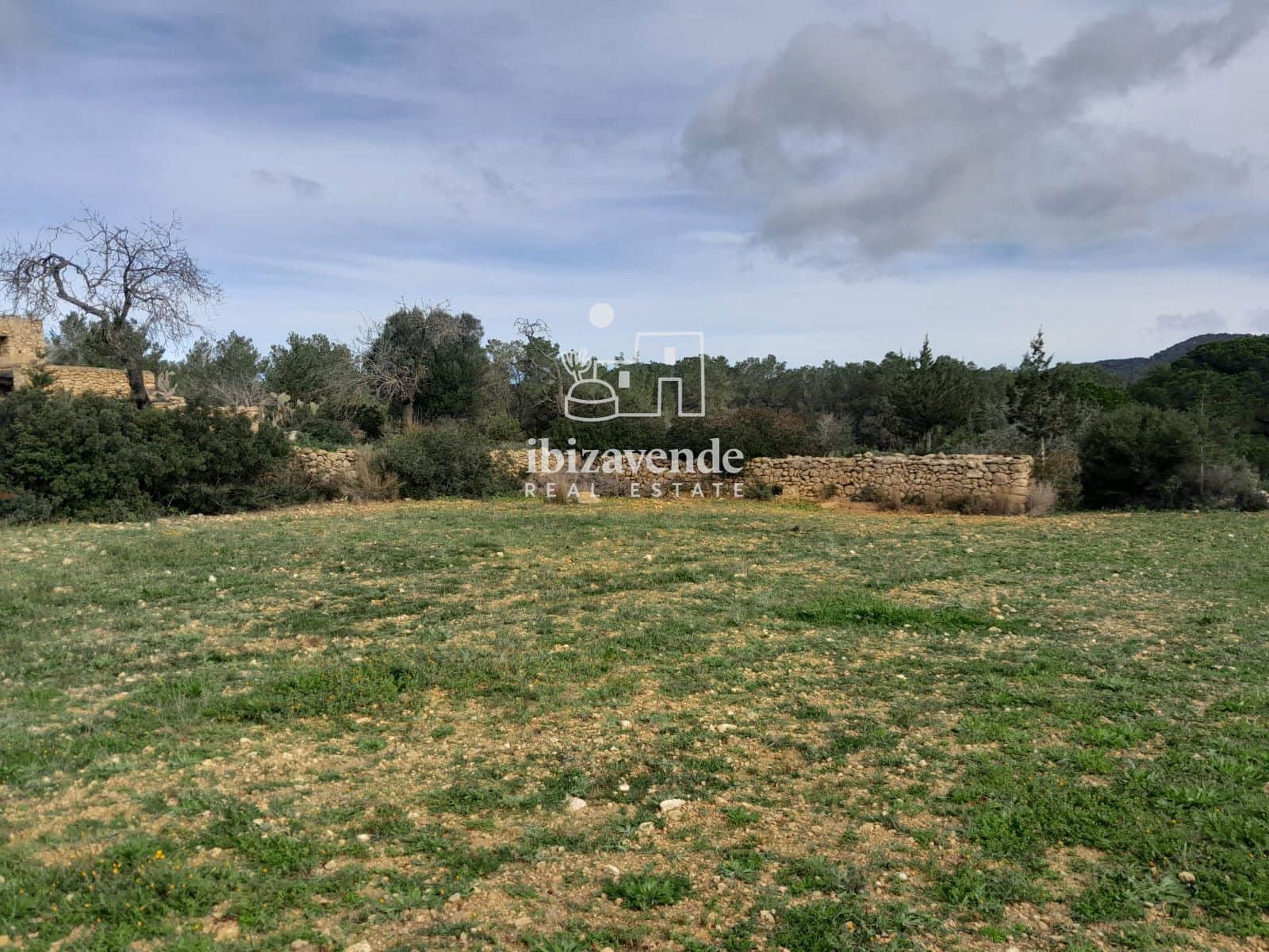 4 bedroom Villa for sale in Santa Ines / Santa Agnes de Corona - € 3,200,000 (Ref: 9041542)