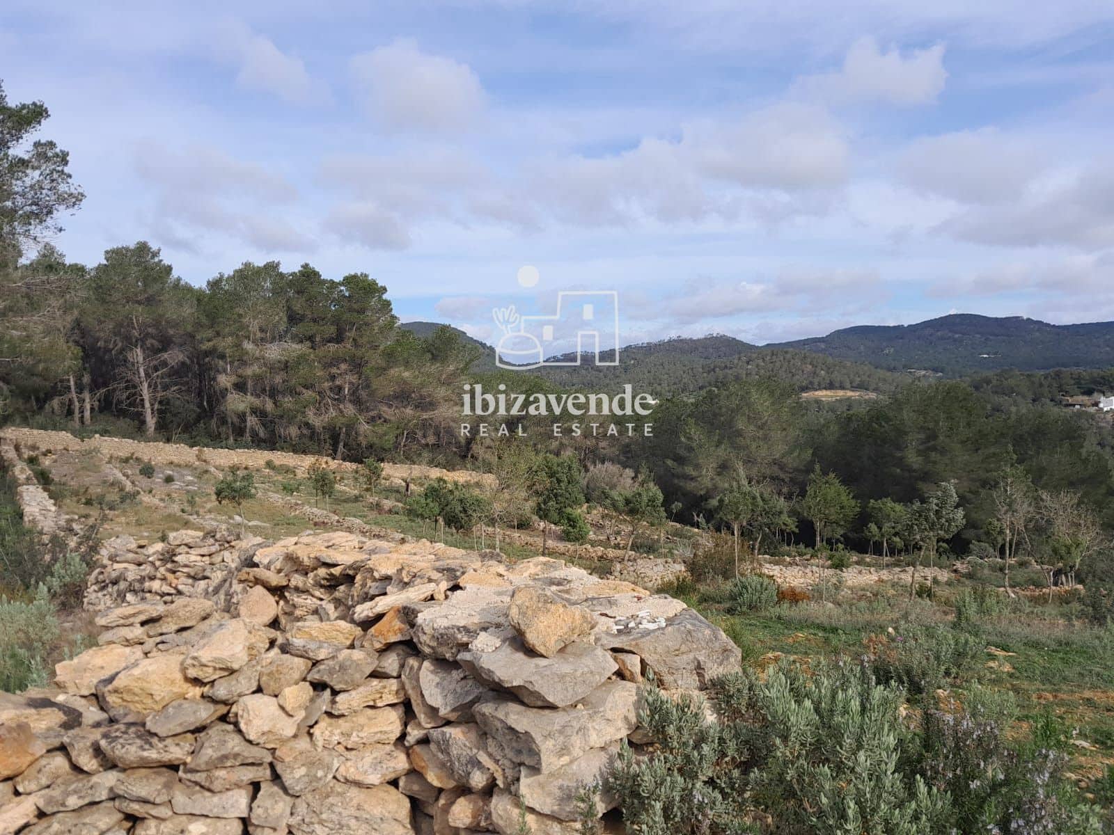 4 bedroom Villa for sale in Santa Ines / Santa Agnes de Corona - € 3,200,000 (Ref: 9041542)