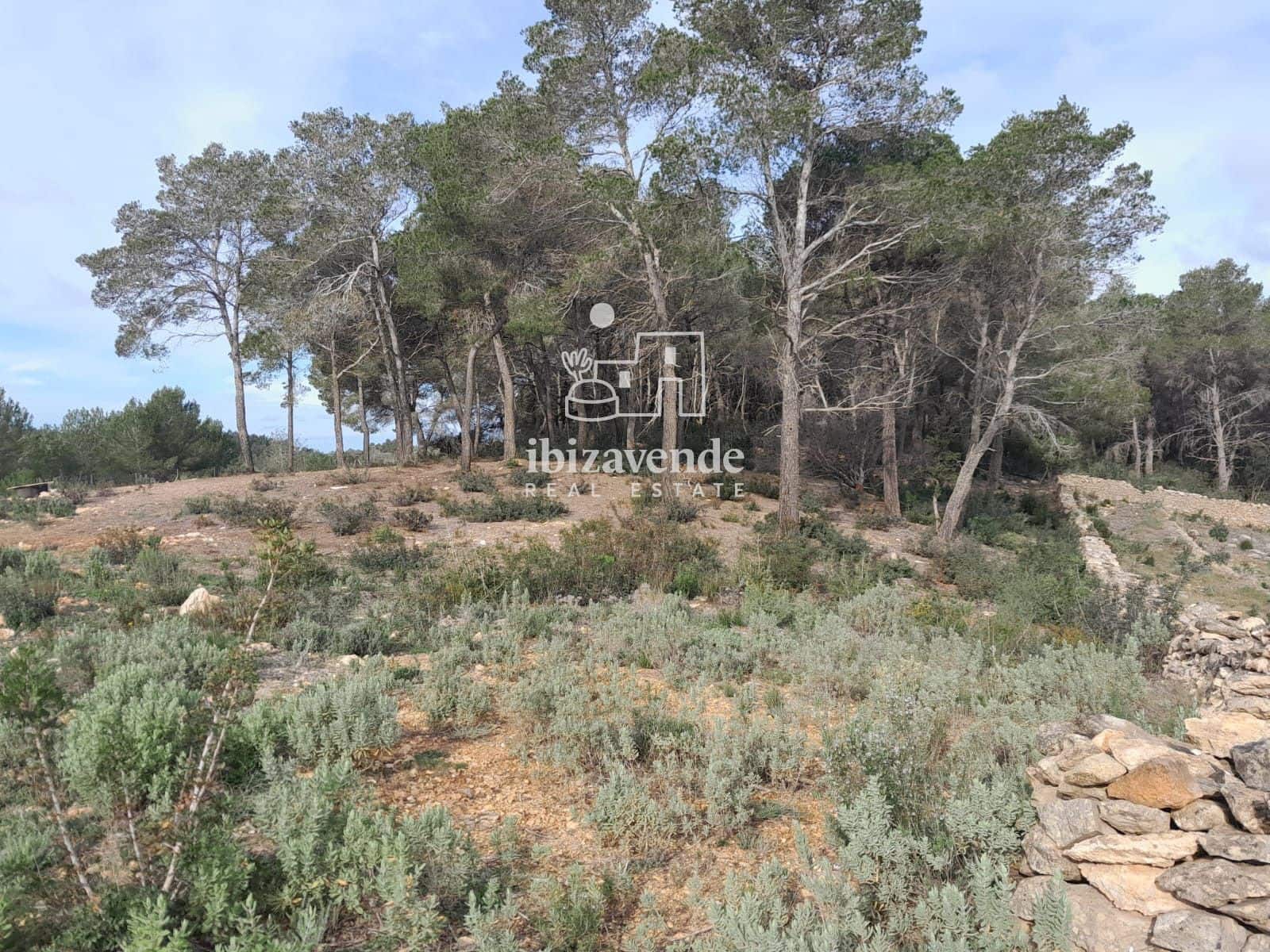 4 bedroom Villa for sale in Santa Ines / Santa Agnes de Corona - € 3,200,000 (Ref: 9041542)