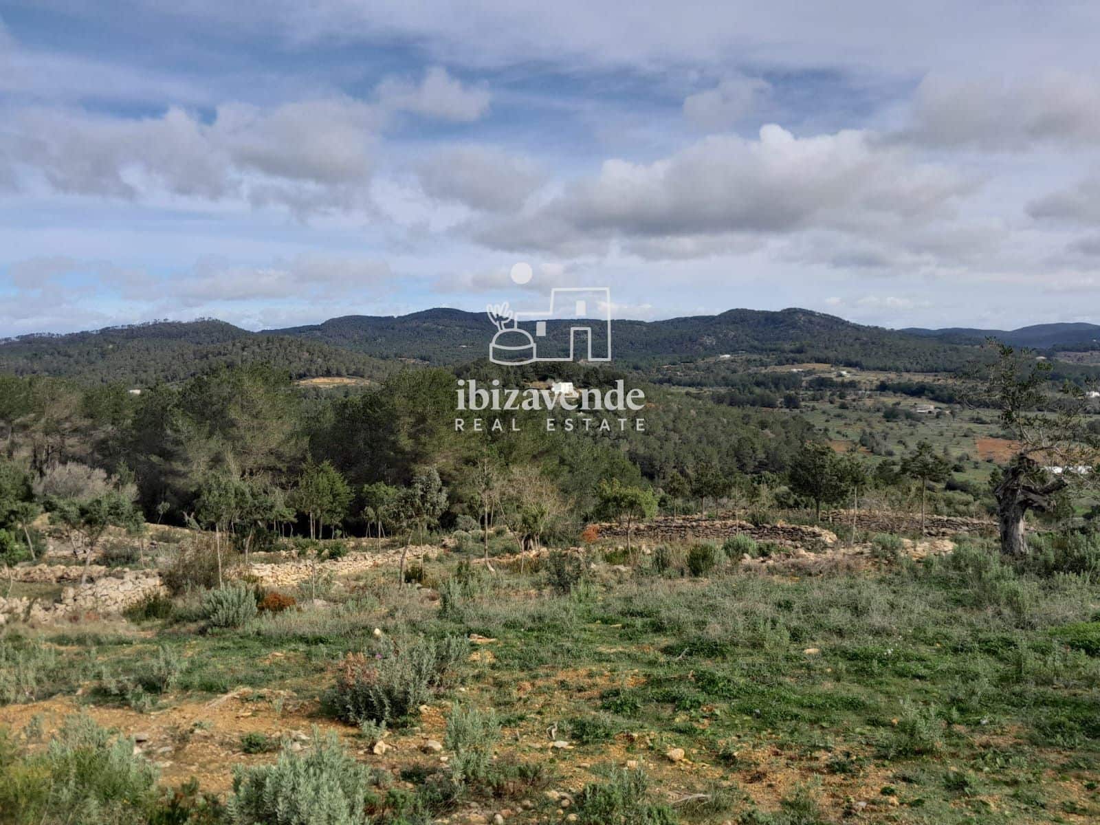 4 bedroom Villa for sale in Santa Ines / Santa Agnes de Corona - € 3,200,000 (Ref: 9041542)