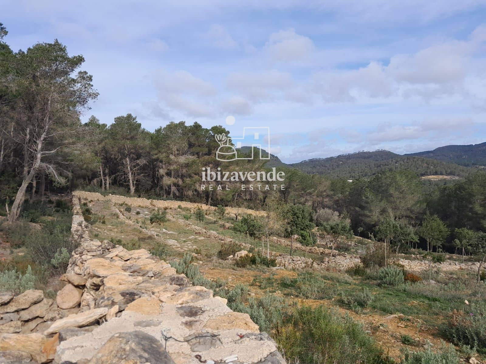 4 bedroom Villa for sale in Santa Ines / Santa Agnes de Corona - € 3,200,000 (Ref: 9041542)