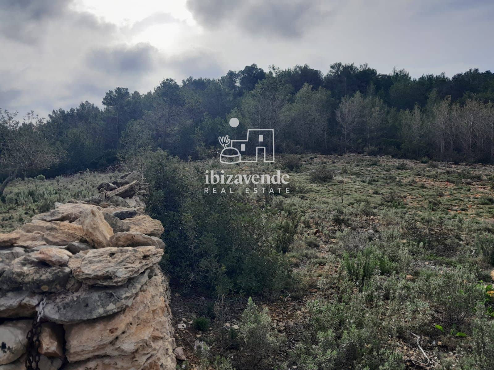 4 bedroom Villa for sale in Santa Ines / Santa Agnes de Corona - € 3,200,000 (Ref: 9041542)