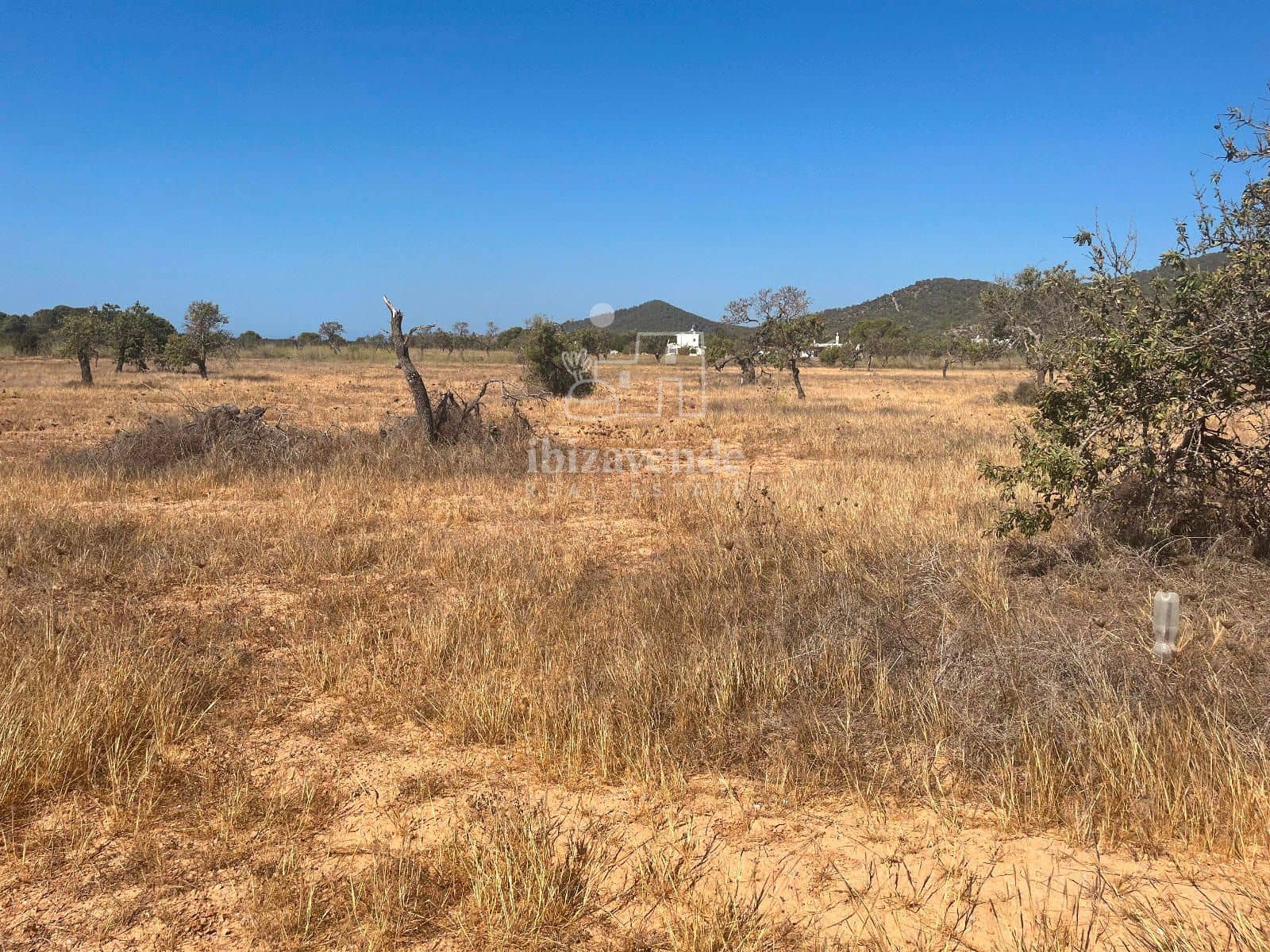 Area Edificabile in vendita in San Jose / Sant Josep de Sa Talaia - 215.000 € (Rif: 9041559)