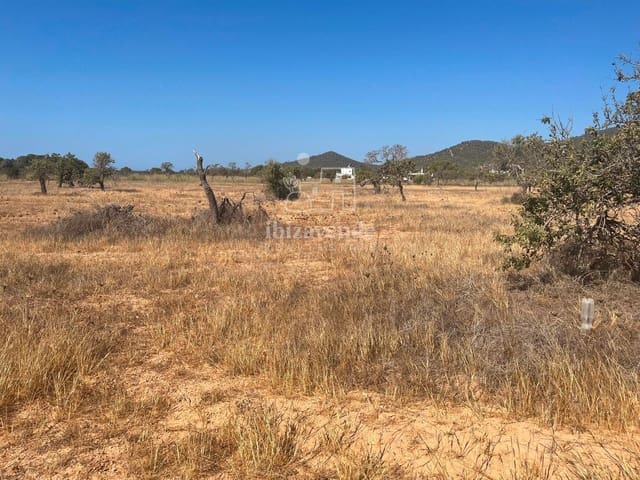 Tomt till salu i San Jose / Sant Josep de Sa Talaia - 215 000 € (Ref: 9041559)