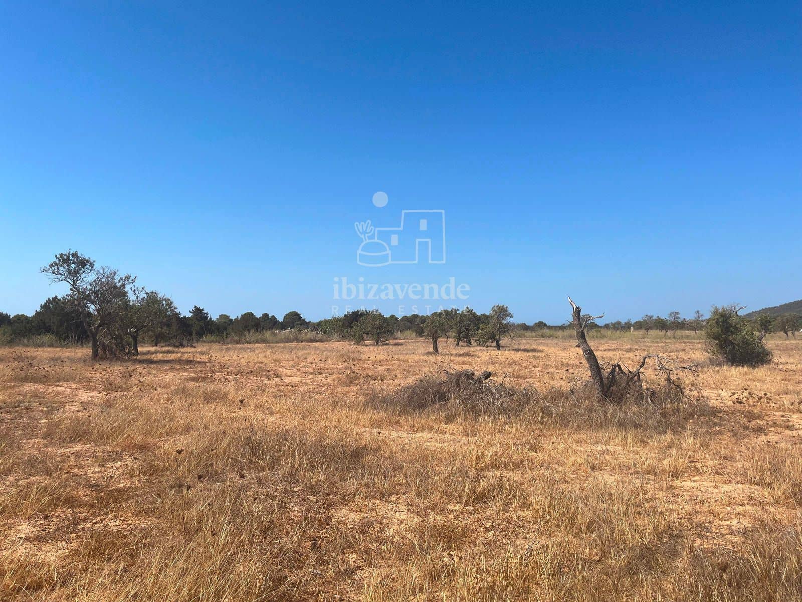 Area Edificabile in vendita in San Jose / Sant Josep de Sa Talaia - 215.000 € (Rif: 9041559)