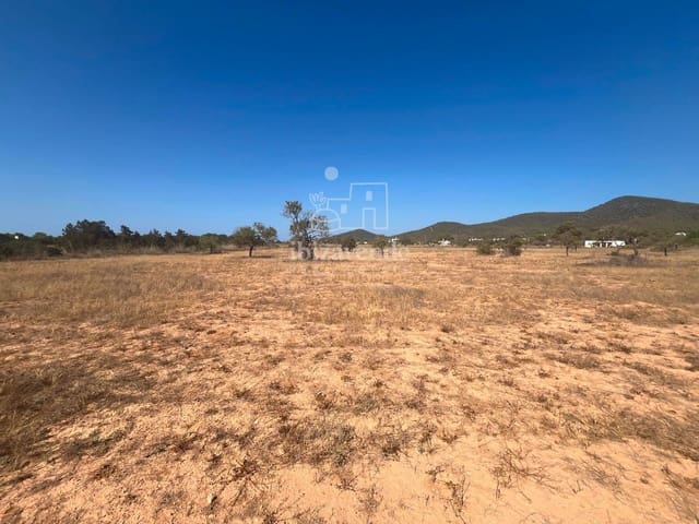 Tomt till salu i San Jose / Sant Josep de Sa Talaia - 215 000 € (Ref: 9041559)