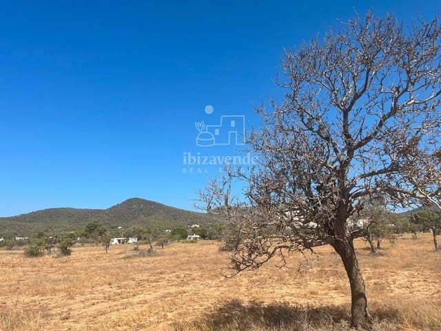 Tomt till salu i San Jose / Sant Josep de Sa Talaia - 215 000 € (Ref: 9041559)