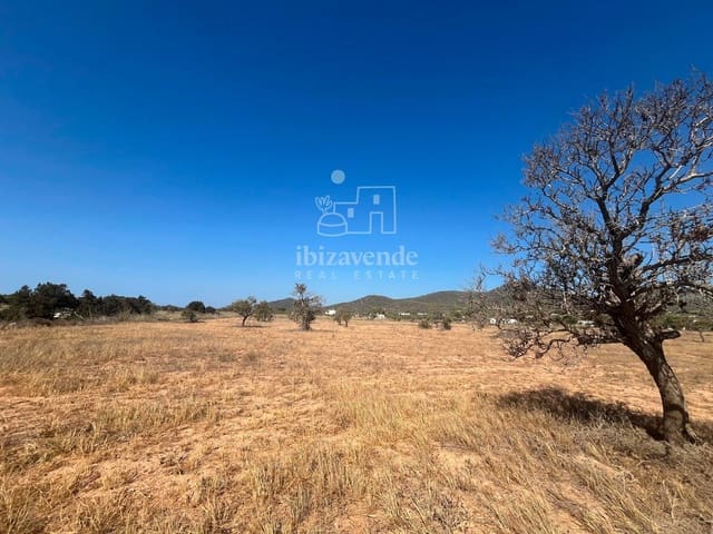 Tomt till salu i San Jose / Sant Josep de Sa Talaia - 215 000 € (Ref: 9041559)