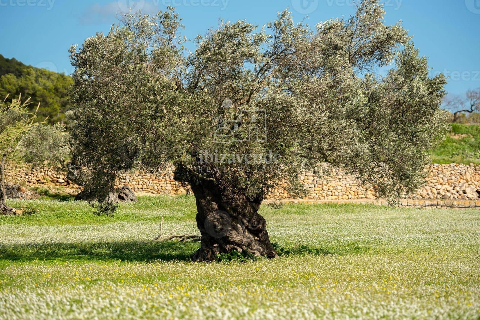 4 sovrum Villa till salu i Santa Eulalia / Santa Eularia med garage - 3 130 000 € (Ref: 9041767)