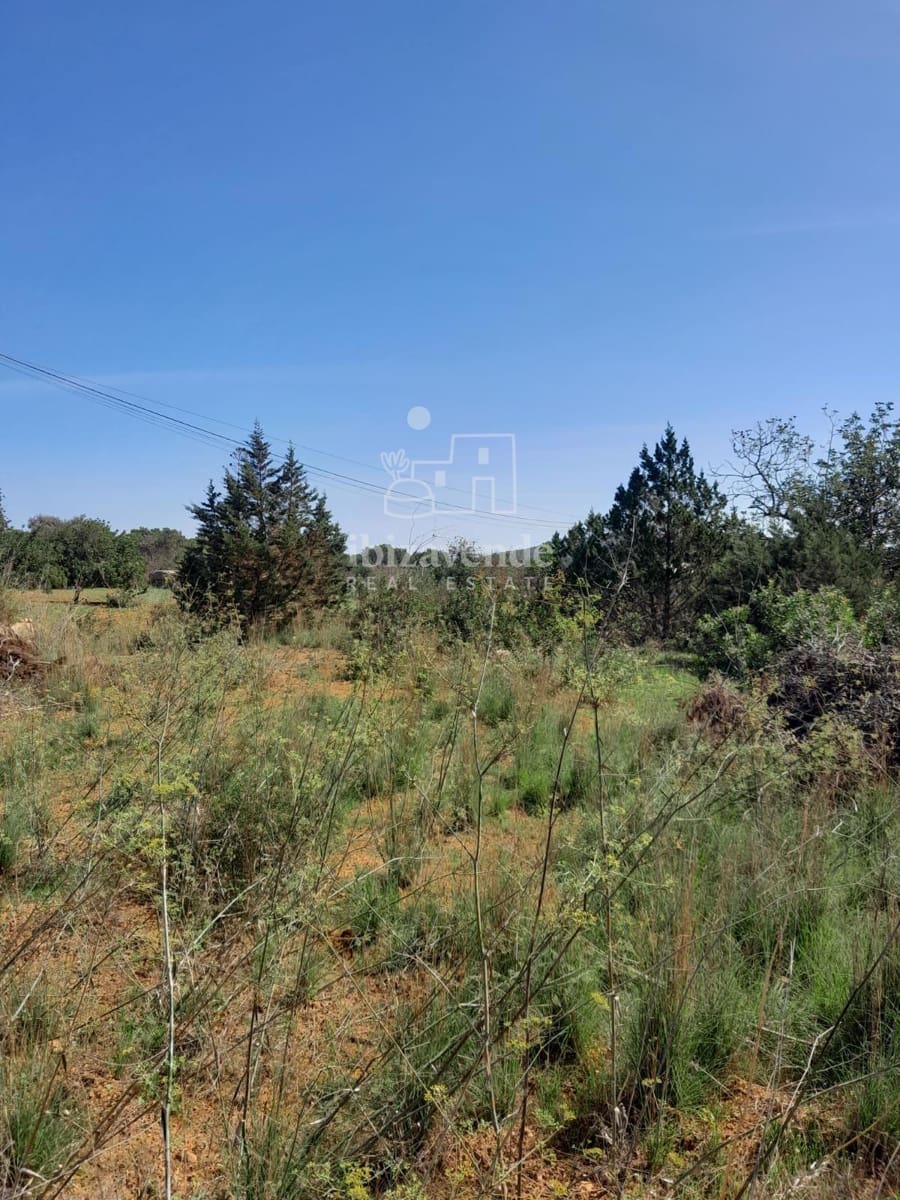 Bouwgrond te koop in Santa Eulalia / Santa Eularia - € 960.000 (Ref: 9041776)