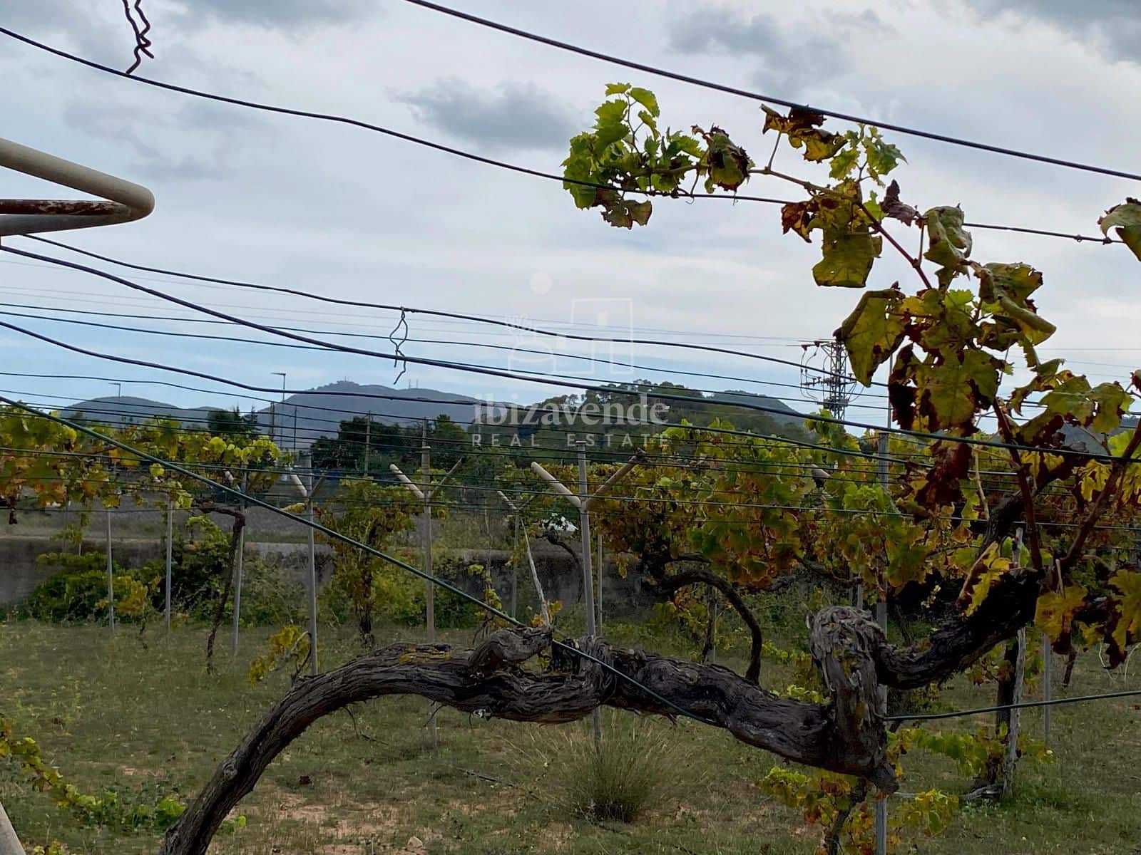 4 soveværelse Villa til salg i Sant Agusti des Vedra med garage - € 2.300.000 (Ref: 9041782)