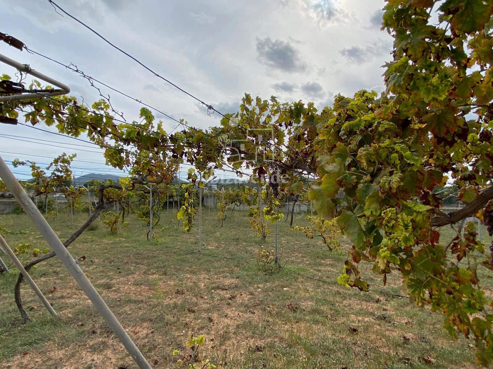 4 soveværelse Villa til salg i Sant Agusti des Vedra med garage - € 2.300.000 (Ref: 9041782)