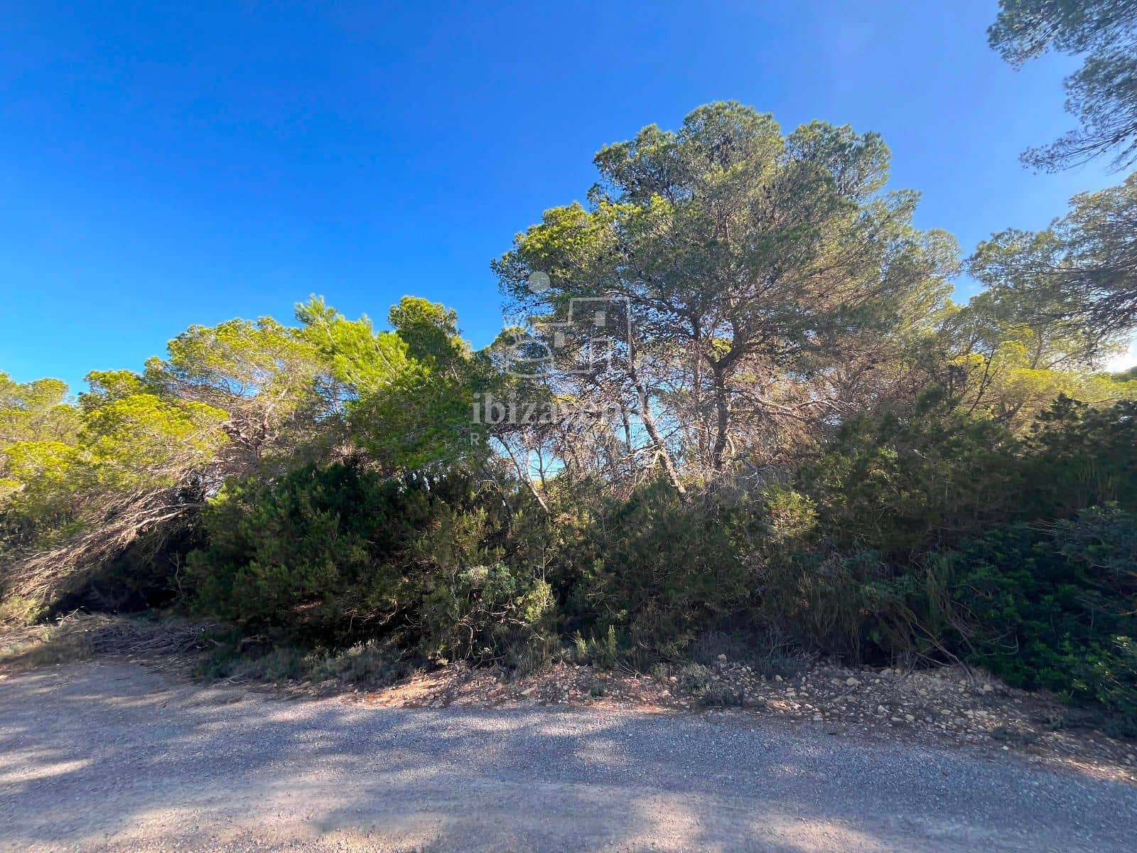 Tomt till salu i San Jose / Sant Josep de Sa Talaia - 85 000 € (Ref: 9041799)