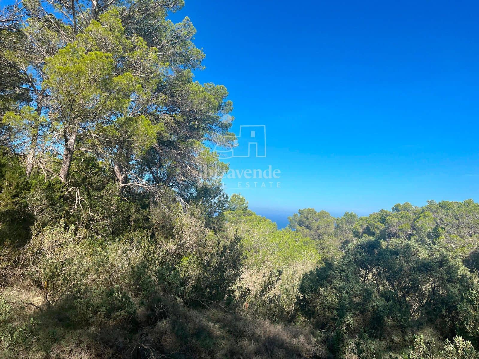 Tomt till salu i San Jose / Sant Josep de Sa Talaia - 85 000 € (Ref: 9041799)