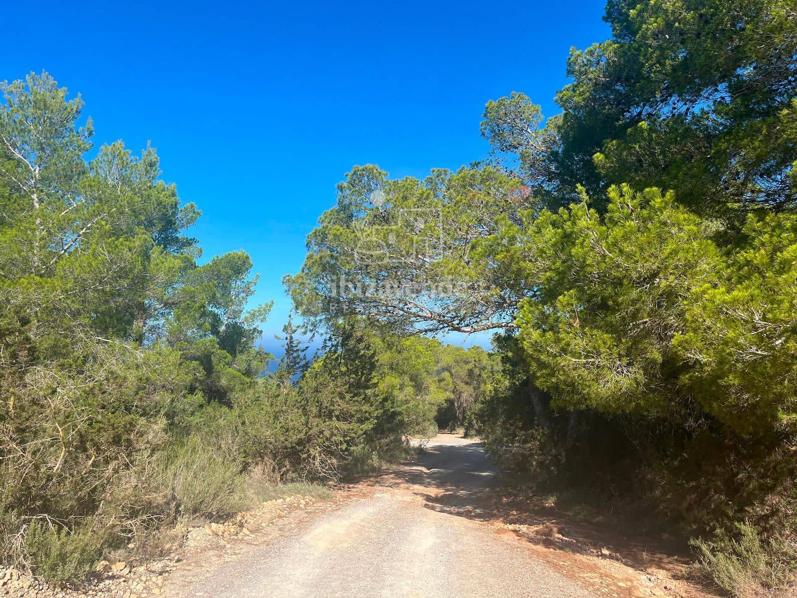 Tomt till salu i San Jose / Sant Josep de Sa Talaia - 85 000 € (Ref: 9041799)