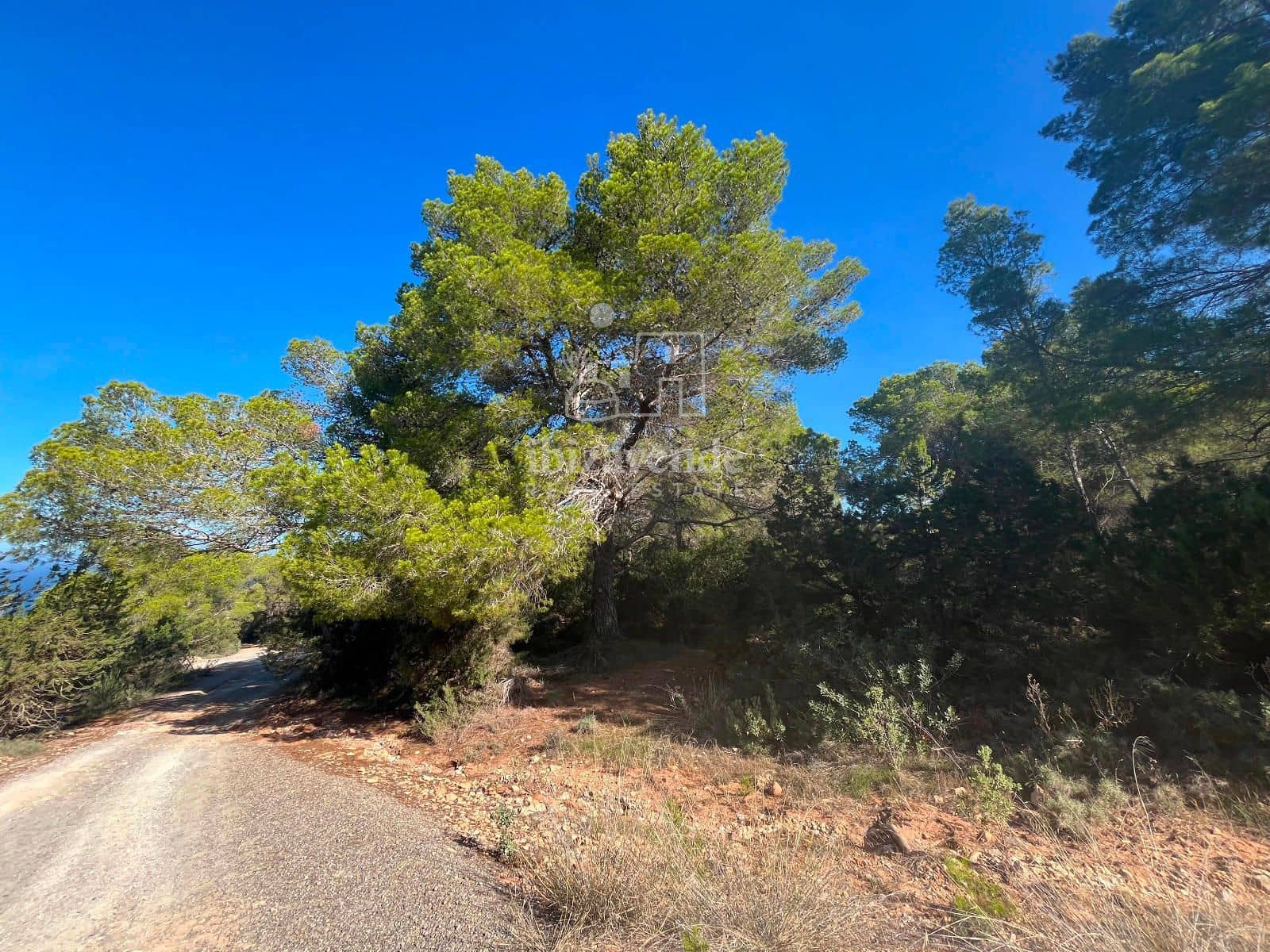 Tomt till salu i San Jose / Sant Josep de Sa Talaia - 85 000 € (Ref: 9041799)