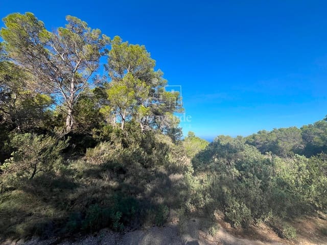 Building Plot for sale in San Jose / Sant Josep de Sa Talaia - € 85,000 (Ref: 9041799)