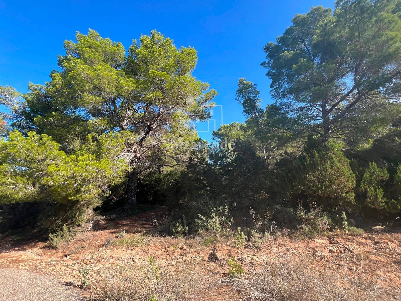 Tomt till salu i San Jose / Sant Josep de Sa Talaia - 85 000 € (Ref: 9041799)