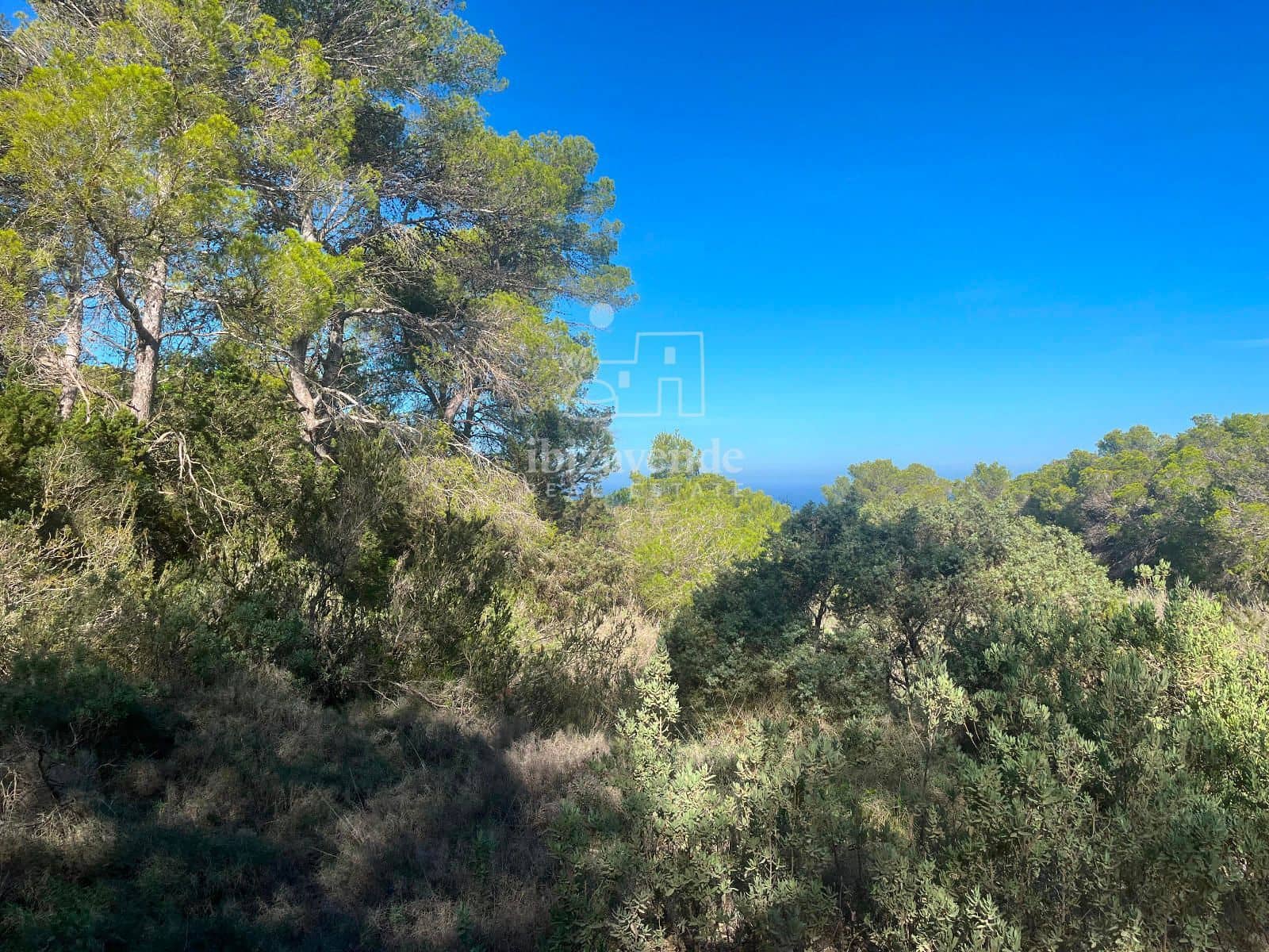 Tomt till salu i San Jose / Sant Josep de Sa Talaia - 85 000 € (Ref: 9041799)