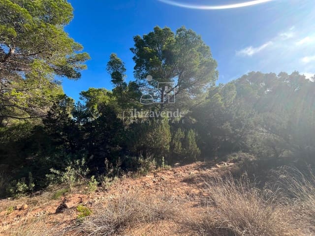 Building Plot for sale in San Jose / Sant Josep de Sa Talaia - € 85,000 (Ref: 9041799)