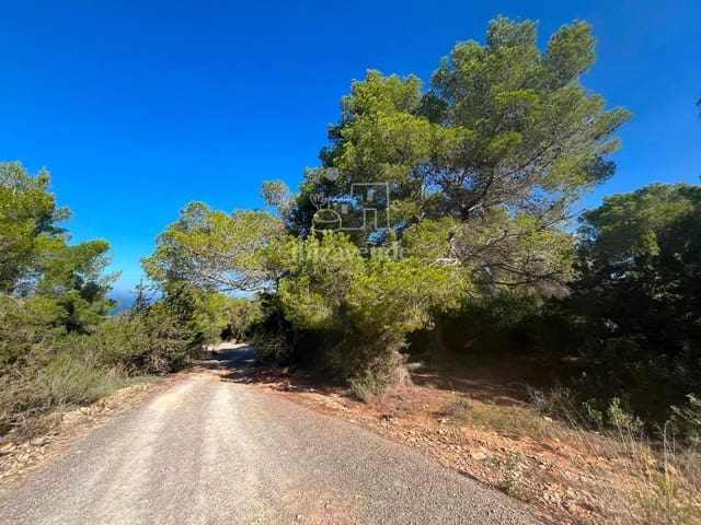 Building Plot for sale in San Jose / Sant Josep de Sa Talaia - € 85,000 (Ref: 9041799)