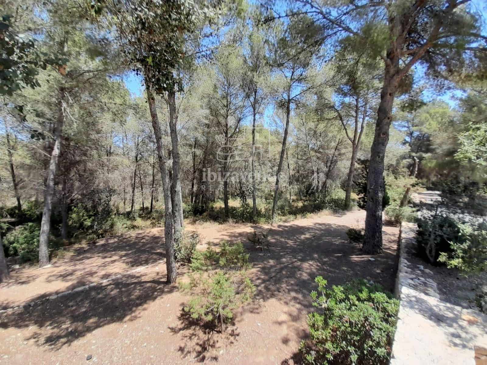 5 sypialnia Willa na sprzedaż w Santa Gertrudis de Fruitera z basenem garażem - 4 950 000 € (Ref: 9097669)