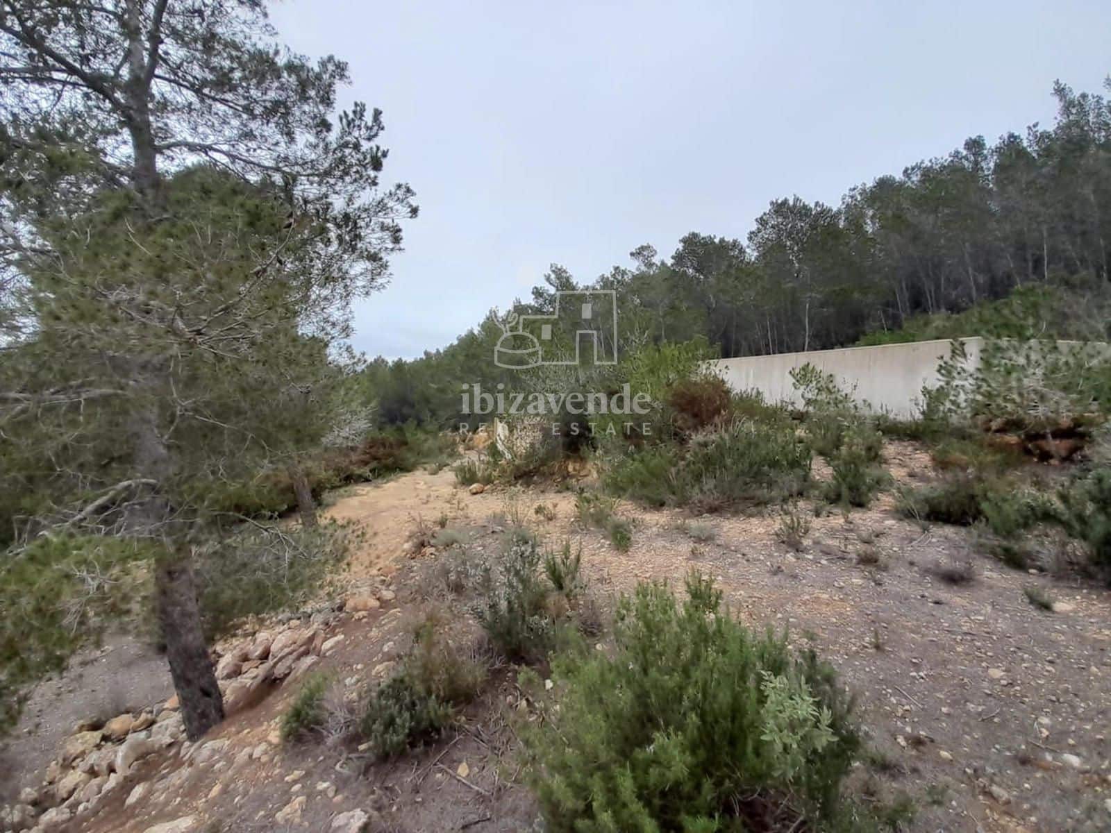 Villa for sale in Santa Eulalia / Santa Eularia - € 1,500,000 (Ref: 9099889)