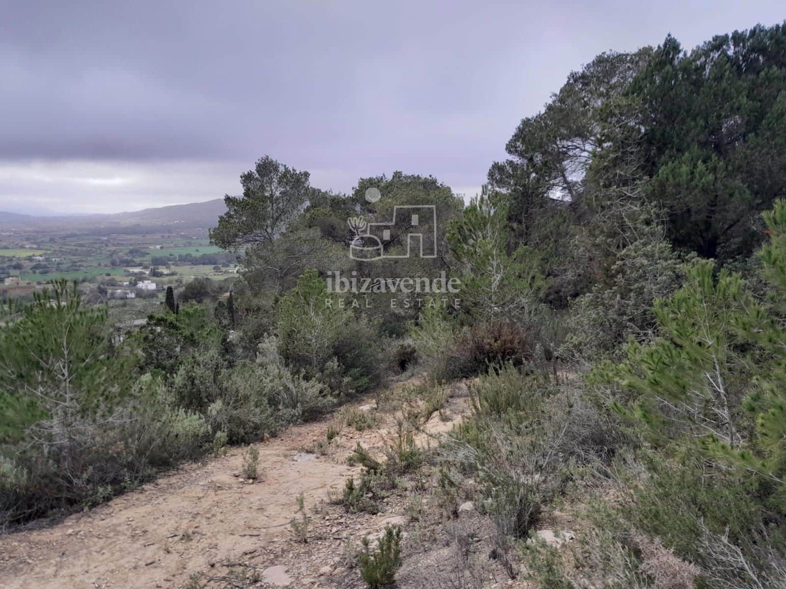 Villa for sale in Santa Eulalia / Santa Eularia - € 1,500,000 (Ref: 9099889)