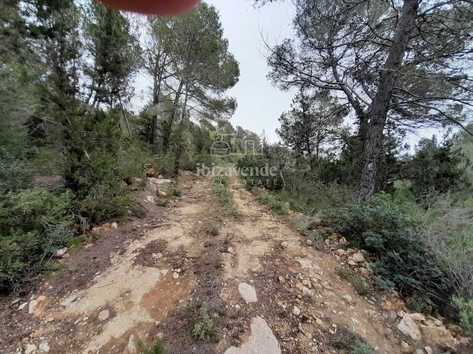 Villa for sale in Santa Eulalia / Santa Eularia - € 1,500,000 (Ref: 9099889)