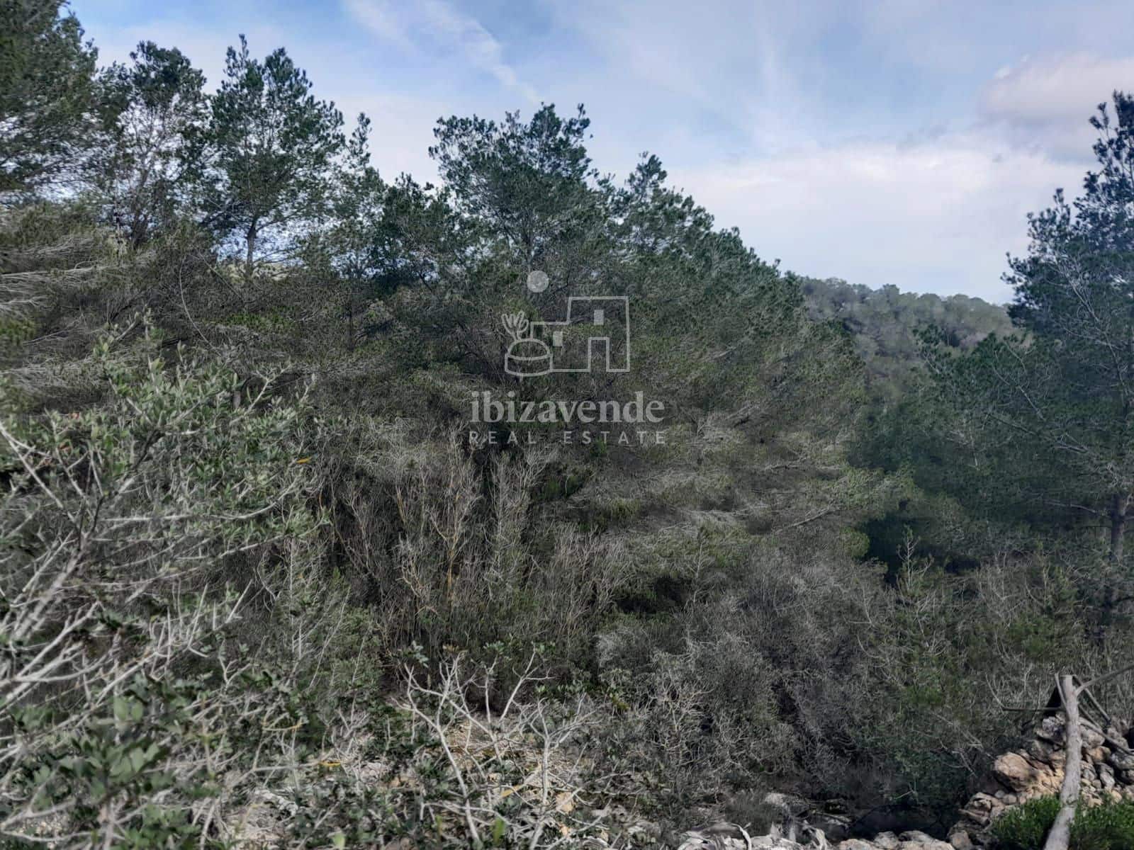 4 soveværelse Villa til salg i Sant Agusti des Vedra - € 1.060.000 (Ref: 9123696)