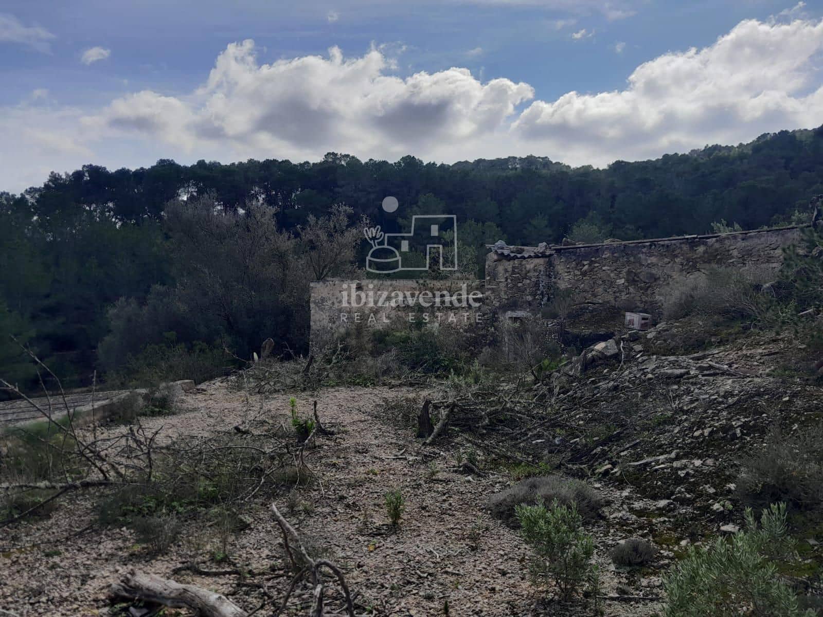 4 soveværelse Villa til salg i Sant Agusti des Vedra - € 1.060.000 (Ref: 9123696)