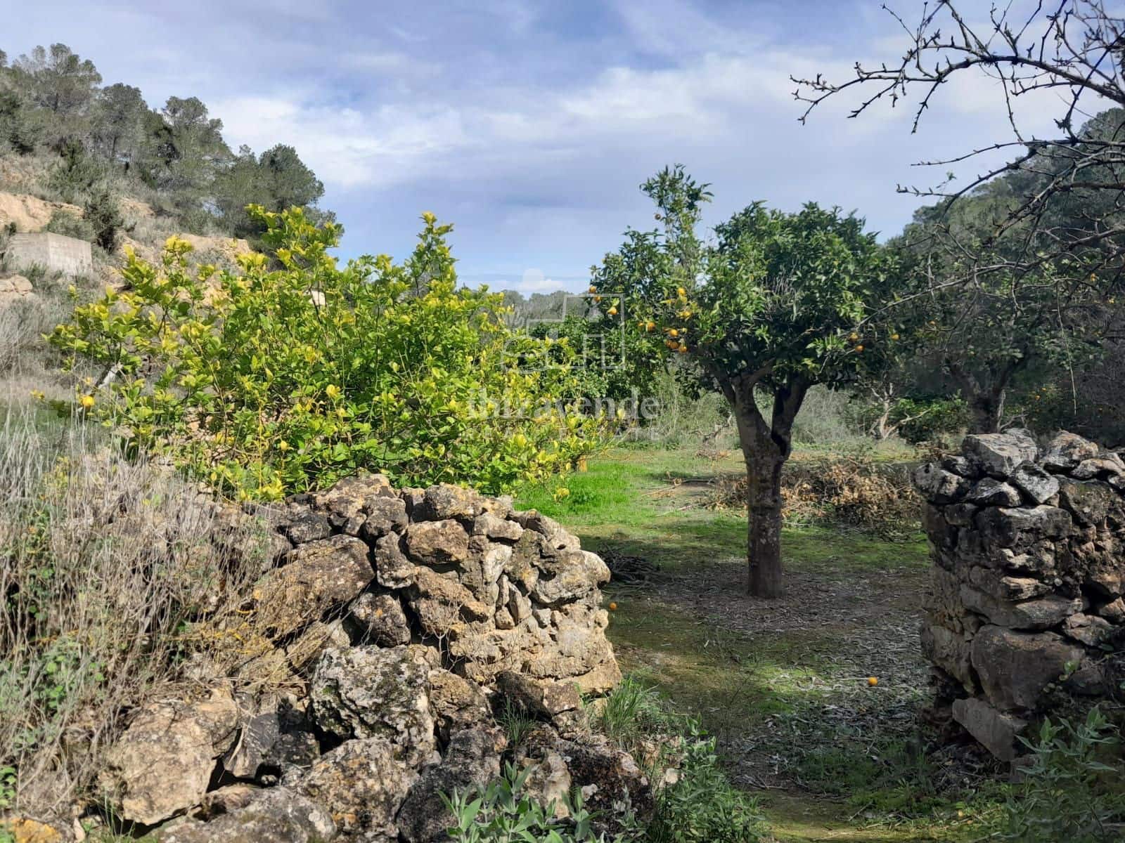 4 soveværelse Villa til salg i Sant Agusti des Vedra - € 1.060.000 (Ref: 9123696)