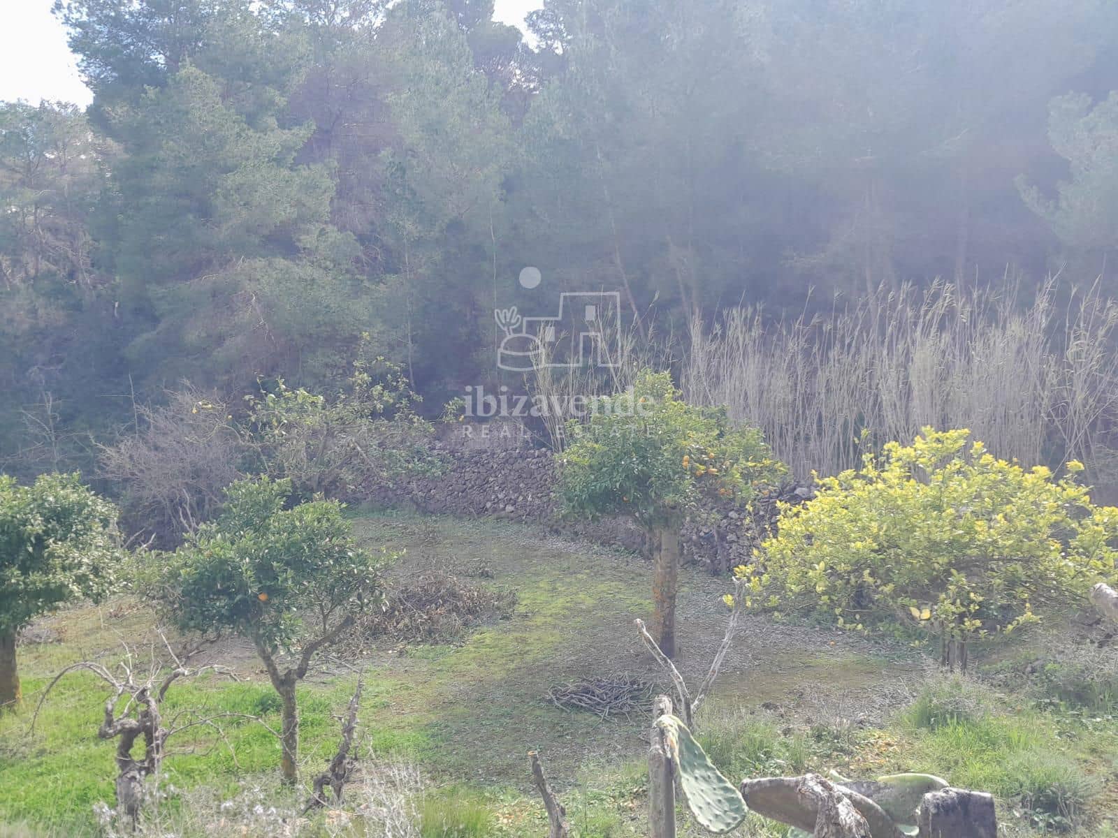 4 soveværelse Villa til salg i Sant Agusti des Vedra - € 1.060.000 (Ref: 9123696)