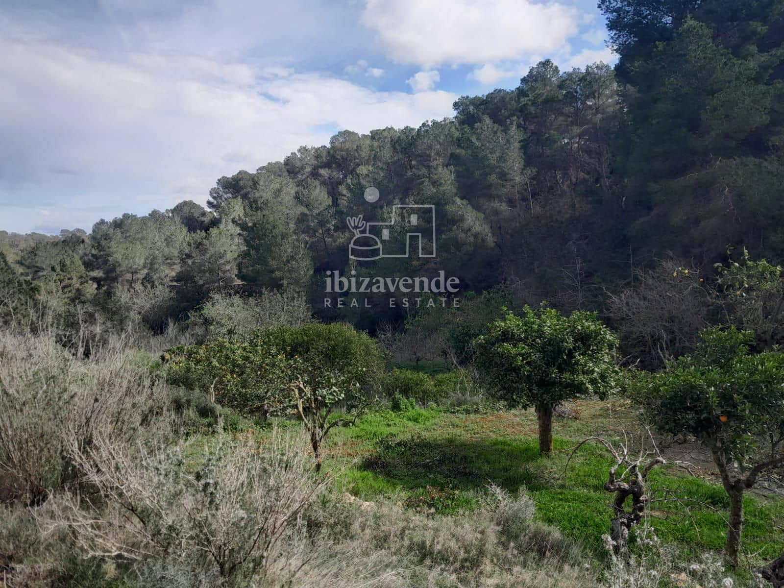 4 soveværelse Villa til salg i Sant Agusti des Vedra - € 1.060.000 (Ref: 9123696)