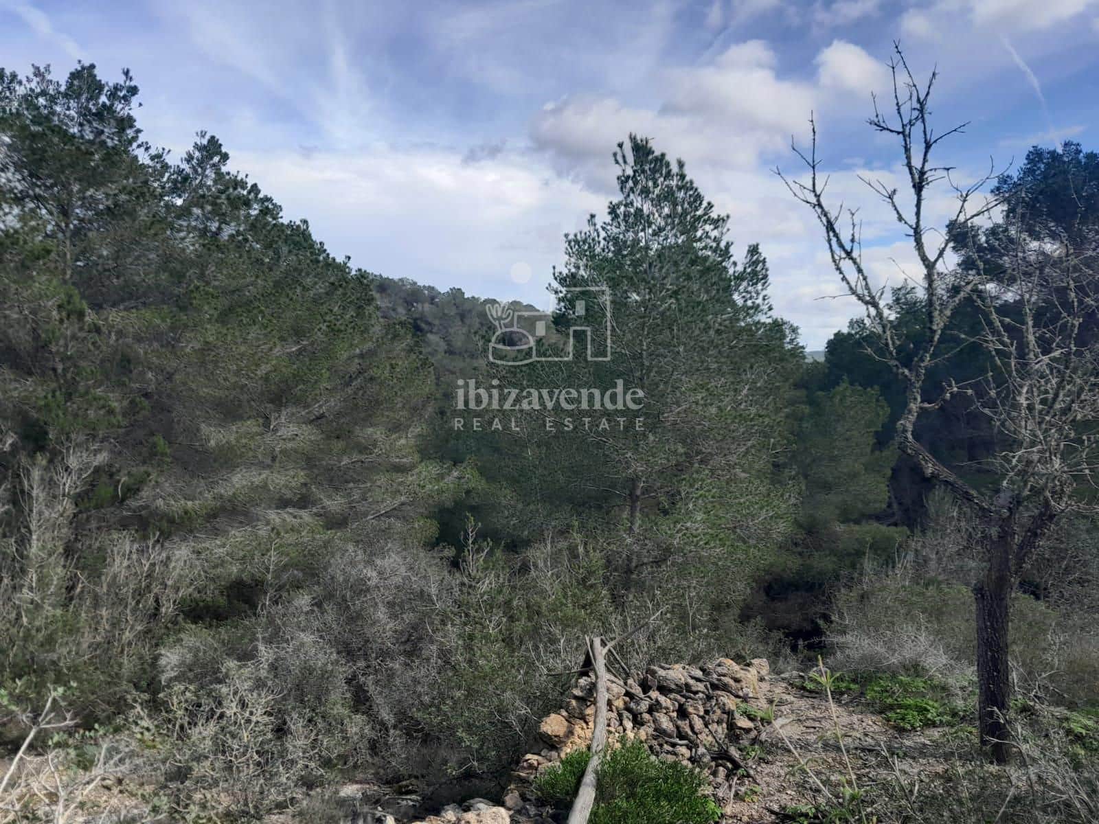 4 soveværelse Villa til salg i Sant Agusti des Vedra - € 1.060.000 (Ref: 9123696)