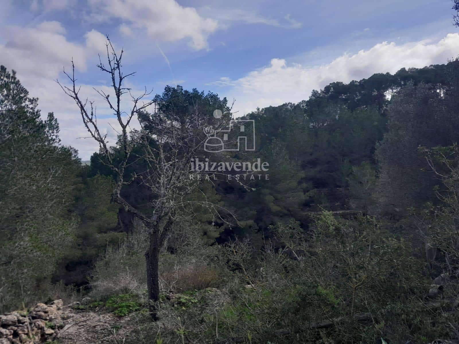 4 soveværelse Villa til salg i Sant Agusti des Vedra - € 1.060.000 (Ref: 9123696)