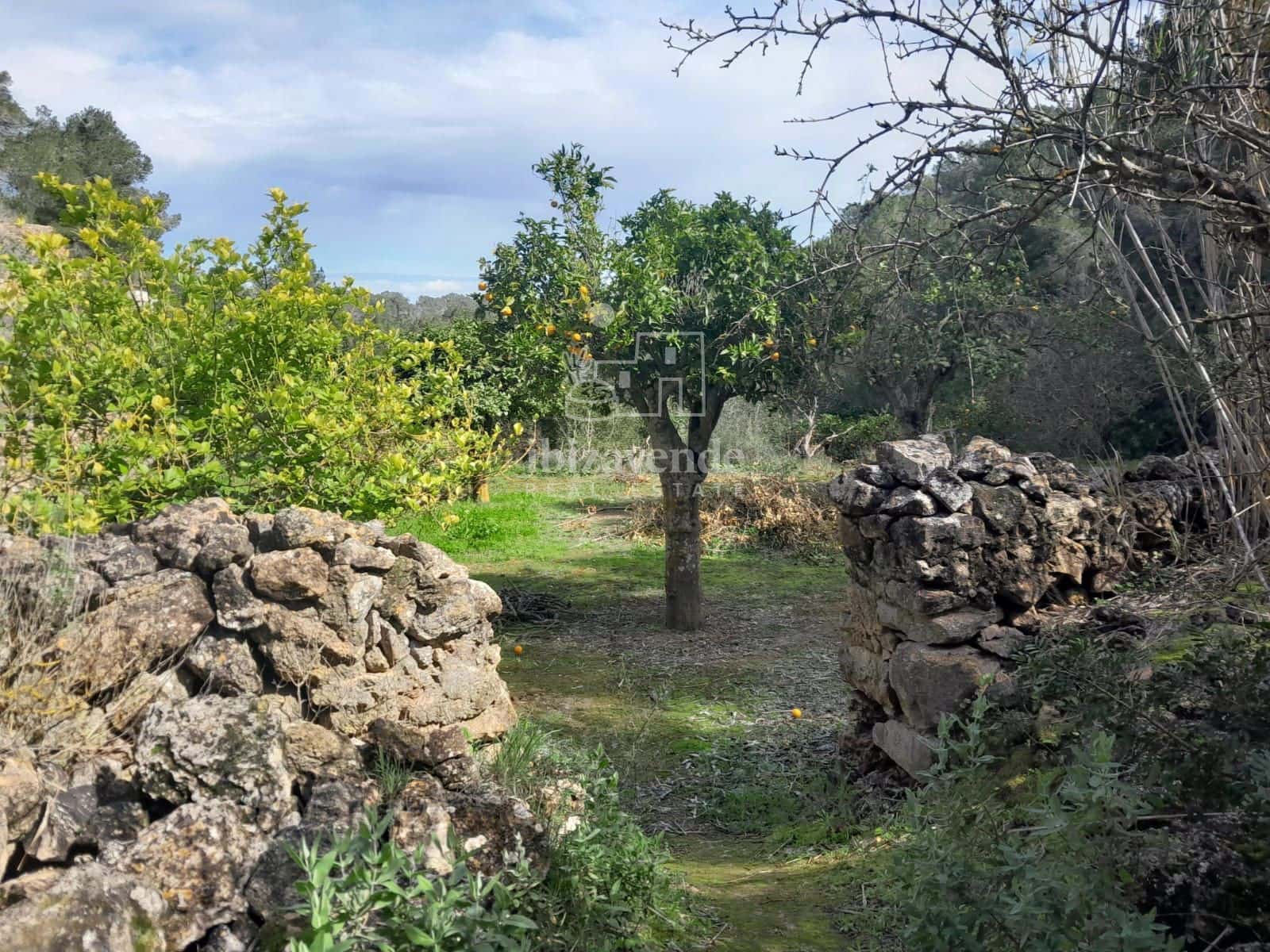 4 soveværelse Villa til salg i Sant Agusti des Vedra - € 1.060.000 (Ref: 9123696)